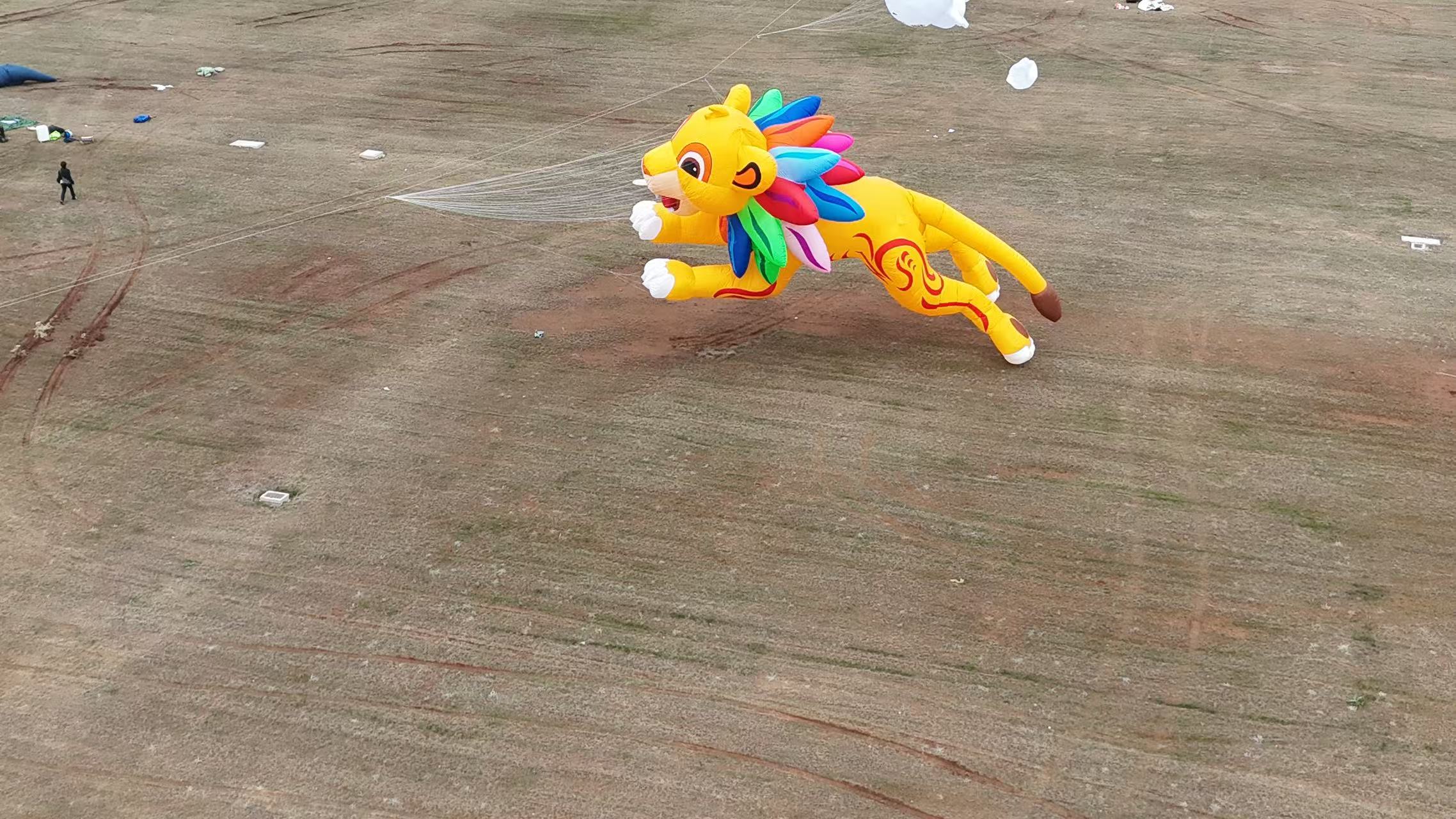 保山市品牌风筝定制风筝加工 - 哪里好